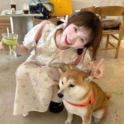 百街日记